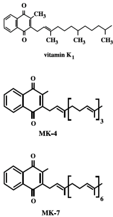 vzorec vitamínů k2, rozdíly mezi MK-4 a MK7